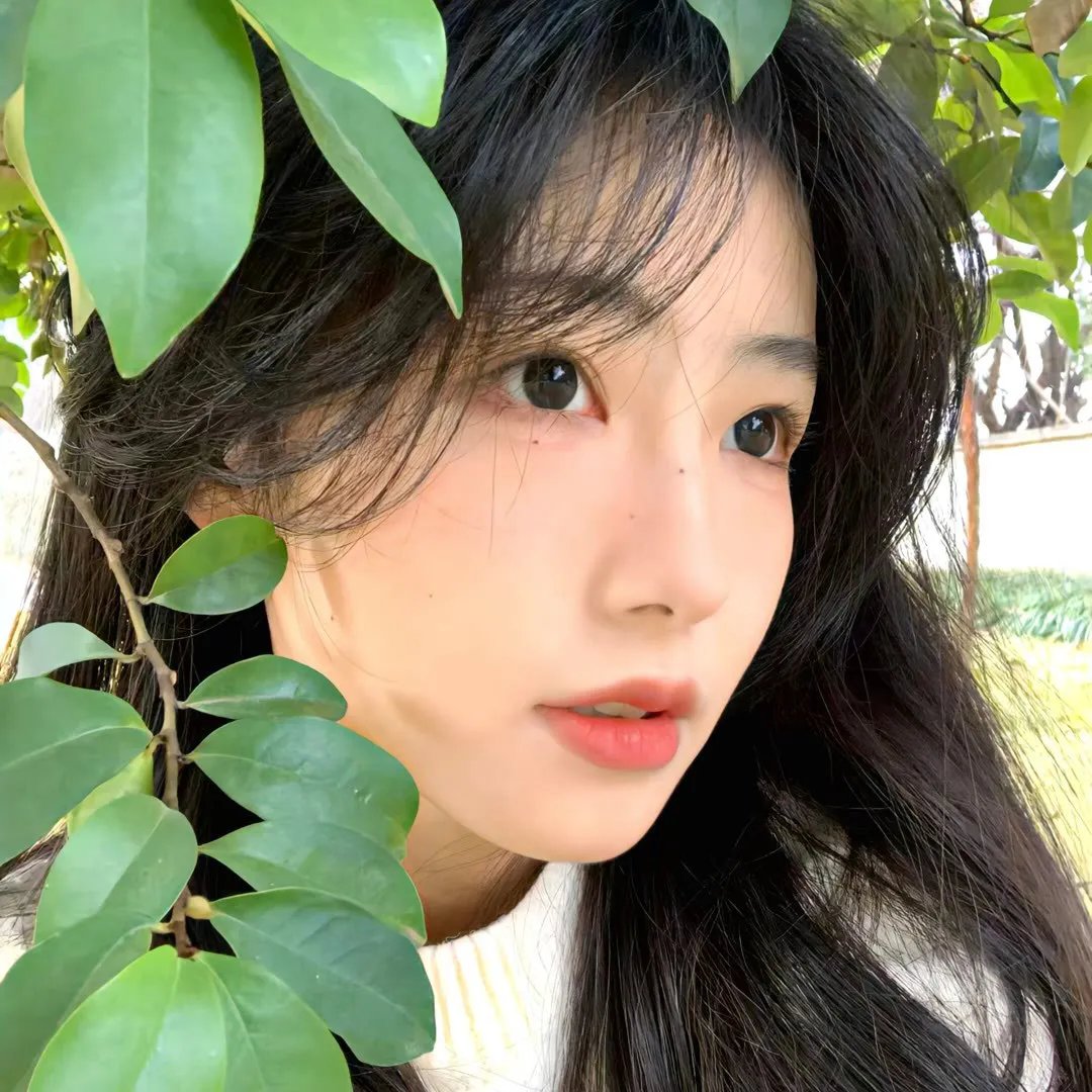 百灵鸟